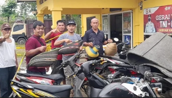 Petugas Polsek Patia mengamankan ayam dan belasan motor milik penjudi sabung ayam. (ist)