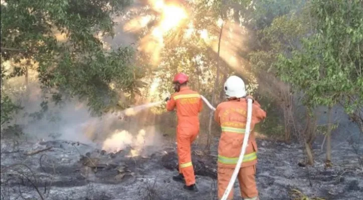 Petugas Sudin Gulkarmat Jakarta Utara dan Kepulauan Seribu, saat memadamkan api yang membakar  alang-alang di  Pulau Tidung. (Ist)