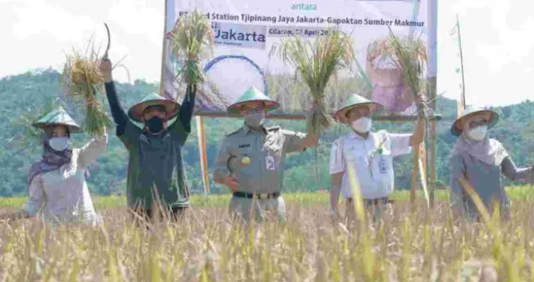 Salah satu upaya Gubernur DKI Jakarta Anies Baswedan untuk memenuhi pasokan beras di Ibukota dilakukan dengan bekerjasama dengan daerah lain. (Ist)