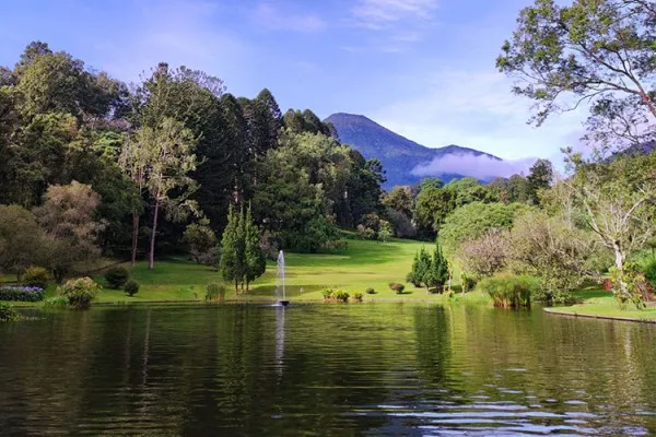 Kebun Raya Cibodas Punya Banyak Spot Foto Instagramable, Wajib Dikunjungi sebagai Destinasi Wisata Akhir Tahun! (Foto: kebunraya.id)