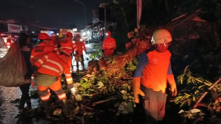 Proses evakuasi pohon tumbang yang menewaskan seorang pemotor di Jalan KS Tubun, Kecamatan Bogor Utara, Kota Bogor. (Dok. BPBD Kota Bogor)