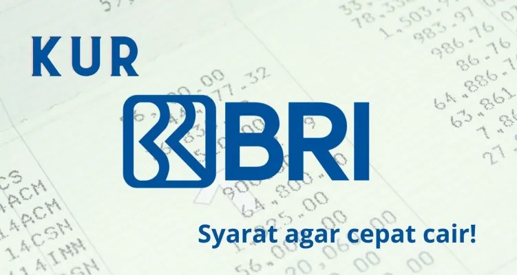 Segera ajukan KUR BRI Rp50 juta secara cepat dan mudah, dengan memperhatikan skema kredit berikut ini. (Istimewa)