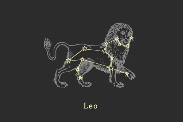 Ramalan Zodiak Leo 14 Juli 2024 (Pinterst)