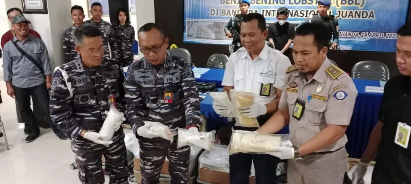 Foto: TNI AL Gagalkan Penyeludupan Benih Lobster 212.566 Ekor di Bandara Juanda, Surabaya hendak dijual ke Malaysia dan Singapura. (Ist.)