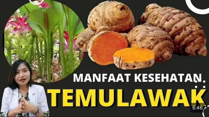 Manfaat Temulawak untuk Kesehatan Tubuh yang Kaya Akan Vitamin Menurut Dr Emasuperr (Tangkap layar/YouTube/dr. Emasuperr)