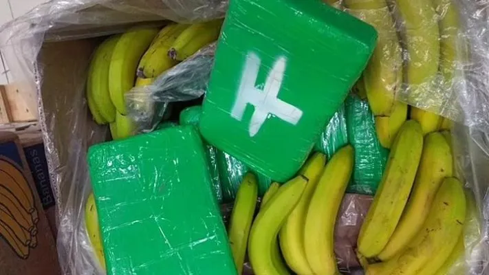 Bandar narkoba Kolombia salah kirim kokain dalam paket pisang senilai 7 juta poundsterling ke sebuah supermarket di Republik Ceko. (Foto: Dok.Kepolisian Ceko)