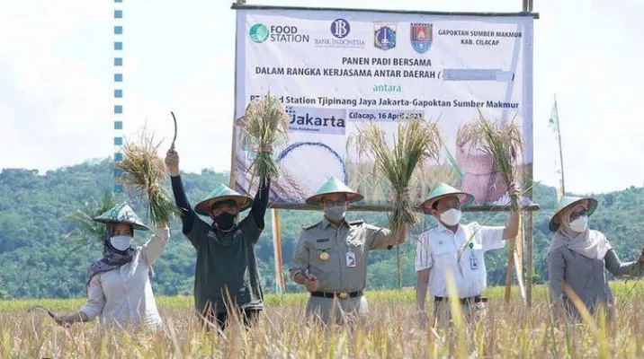 Gubernur DKI, Anies Baswedan bersama Bupati Cilacap, Tatto Suwarto Pamuji saat panen raya di Cilacap, Jawa Tengah. (ist)   