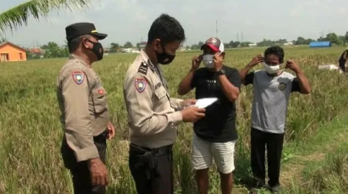 petani yang kedapatan pulang mudik 'dijemput bola' petugas di sawah.(Ist)