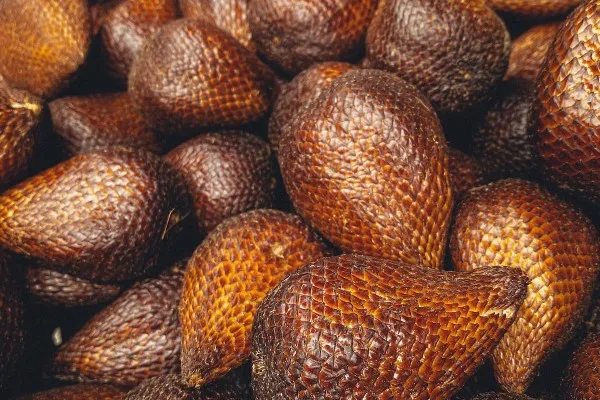 Banyak manfaat buah salak bagi kesehatan tubuh. (Pexels/Adityo Cahyo)