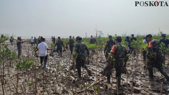 Puluhan personel TNI-Polri di Pandeglang saat melakukan penanaman pohon mangrove di Pantai Ciseket. (Poskota.co.id/Samsul Fathony)