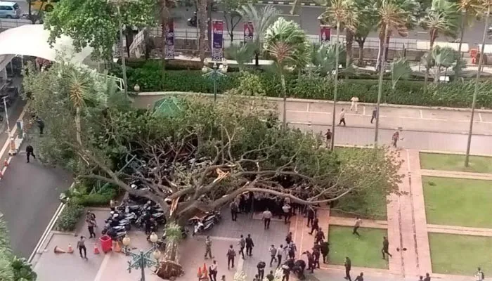 Pohon Trembesit setinggi 16 meter tumbang di depan Kantor Balai Kota Jakarta, akibatnya 5 orang anggota Kepolisian dan puluhan sepeda motor jadi korban.(ist)