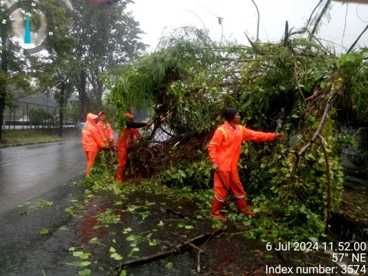 Pohon tumbang di Jalan Arjuna Selatan, Kelurahan Duri Kepa, Kecamatan Kebon Jeruk, Jakarta Barat. (Dok. BPBD DKI Jakarta)