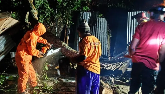 Petugas sedang memotong pohon tumbang akibat angin kencang di Mojokerto.(BNPB)