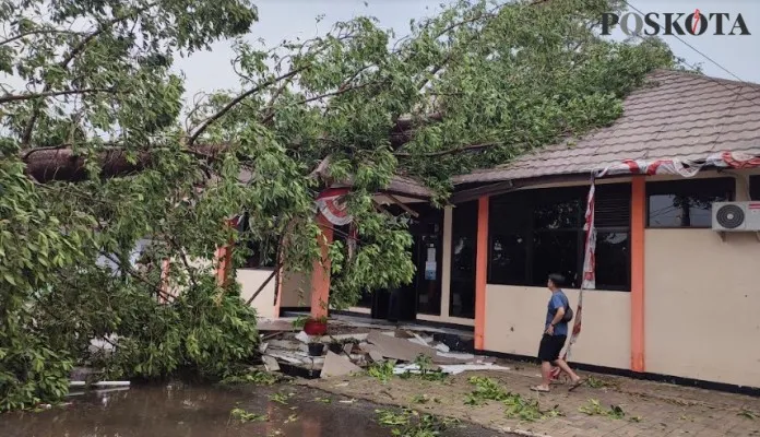 Pohon tumbang menimpa Kantor Kecamatan Karangtanjung Pandeglang. (Foto: Samsul Fatoni).