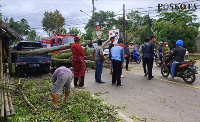 Warga dan petugas BPBD Pandeglang saat evakuasi pohon tumbang. ( Samsul Fatoni).