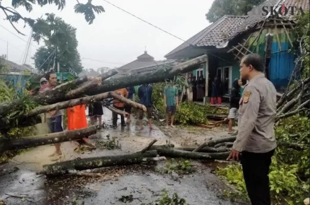 Purwakarta bagian selatan diterjang angin kencang memporak-porandakan puluhan rumah, sekolah dan memutus aliran listrik. Seorang warga dilaporkan terluka. (dadan)