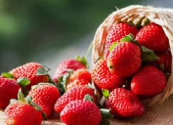 Strawberry, salah satu jenis buah dengan kandungan air tinggi yang akan menyegarkan untuk dikonsumsi saat buka puasa. (Ist)