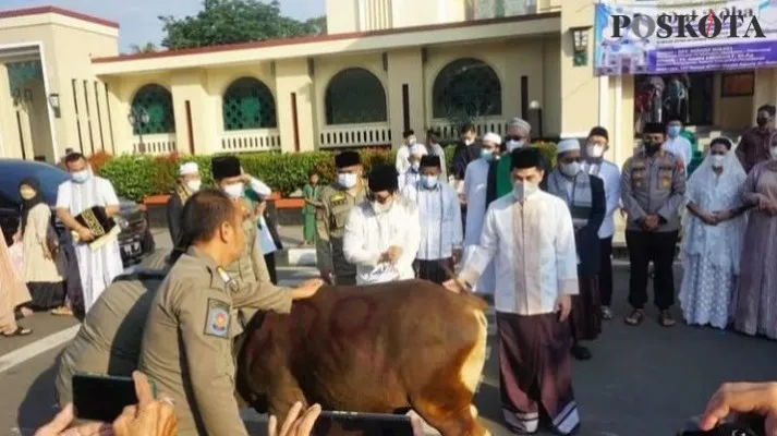 Bupati Pandeglang, Irna Narulita dan suaminya saat menyerahkan hewan Qurban. (Foto: Samsul Fatoni).