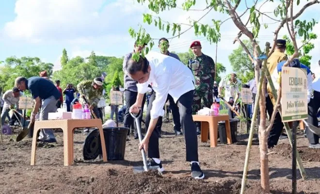 Presiden Joko Widodo saat saat menanam Pohon Cendana. (biro pers)