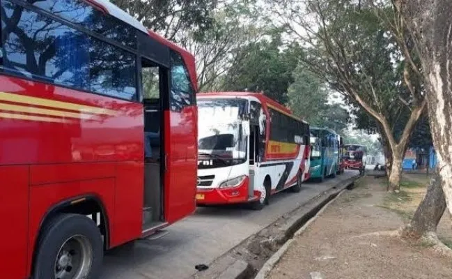 Deretan bus AKAP di Terminal Tipe A Labuan, Pandeglang. (Foto: Ist).