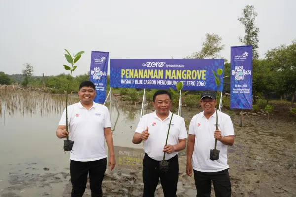 Direktur Utama Telkom Ririek Adriansyah (tengah), Direktur Human Capital Management Telkom Afriwandi (kiri), serta Direktur Keuangan dan Manajemen Risiko Telkom Heri Supriadi (kanan) saat penanaman pohon mangrove di Pantai Istambul Glagah Wangi, Demak, Jawa Tengah pada Jumat, 15 November 2024. (Dok. Telkom Indonesia)