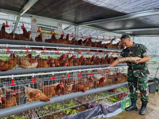 Prajurit Kodim 0507/Bekasi mengecek hasil urban farming di atas gedung rooftop. (Istimewa)