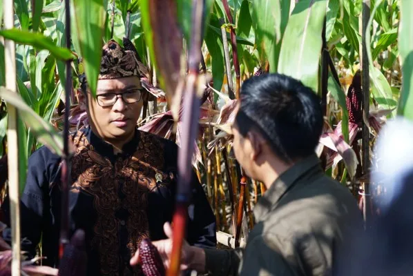 Wakil Menteri Pertanian, Sudaryono saat berbincang pada acara Gebyar Pembenihan Tanaman Pangan di Soreang, Kabupaten Bandung, Jawa Barat, pada Sabtu, 17 Juli 2024 (Kementerian Pertanian)