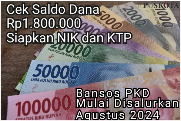 Saldo dana Rp1.800.000 mulai dicairkan dari program Bansos PKD pada bulan Agustus 2024, cek cara lengkapnya disini. (Pixabay, edit Yugi Prasetyo/Poskota)